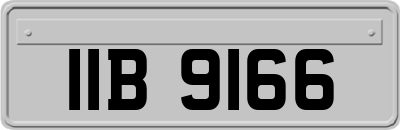 IIB9166
