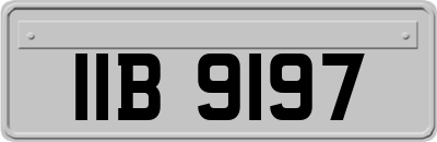 IIB9197