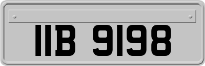 IIB9198