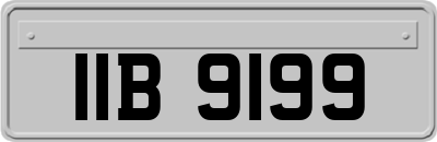 IIB9199