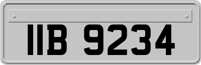 IIB9234