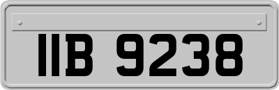 IIB9238