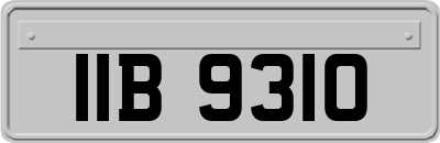 IIB9310