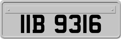 IIB9316