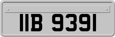 IIB9391
