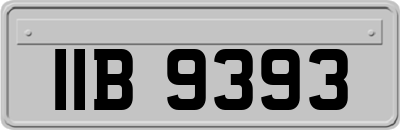 IIB9393