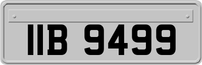 IIB9499