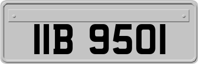 IIB9501