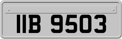 IIB9503