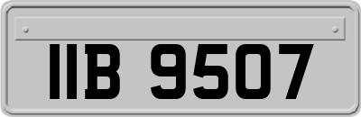IIB9507