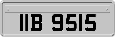 IIB9515