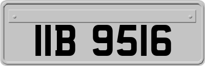 IIB9516