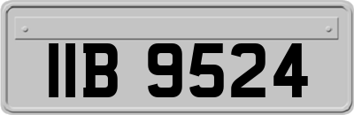 IIB9524