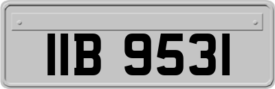 IIB9531