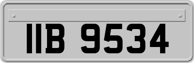 IIB9534