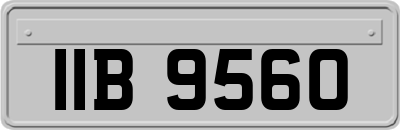 IIB9560