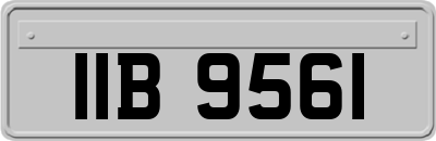 IIB9561