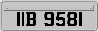 IIB9581