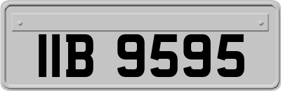 IIB9595