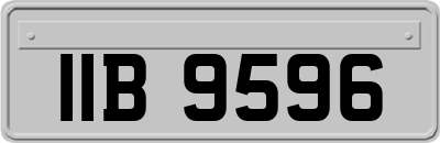IIB9596
