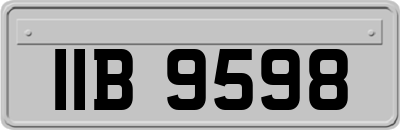 IIB9598