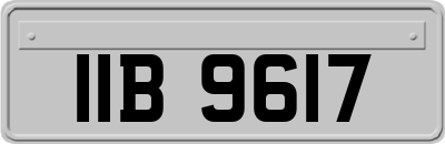 IIB9617