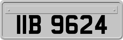IIB9624