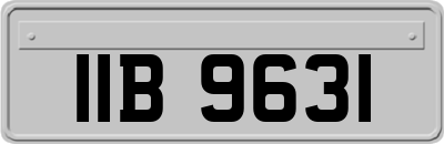 IIB9631