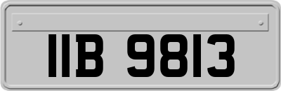 IIB9813