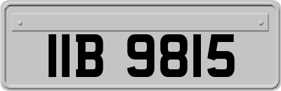 IIB9815