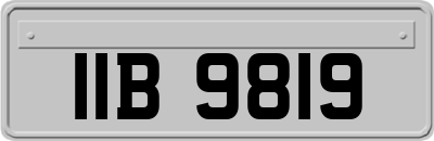 IIB9819