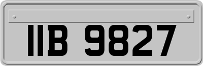 IIB9827