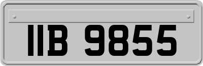 IIB9855