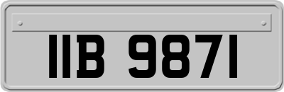 IIB9871
