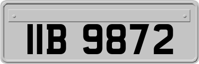 IIB9872