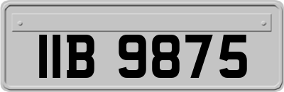 IIB9875