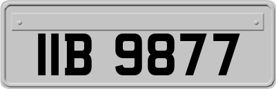 IIB9877