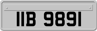 IIB9891