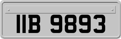 IIB9893