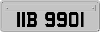 IIB9901