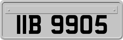IIB9905