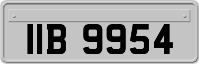 IIB9954