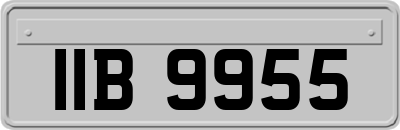 IIB9955