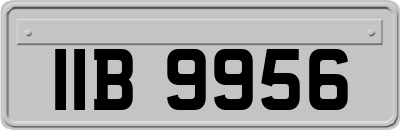 IIB9956
