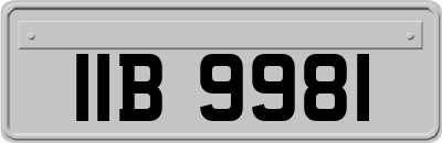 IIB9981