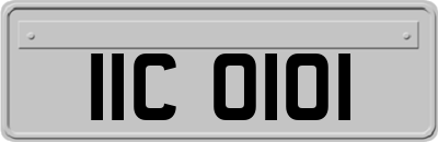 IIC0101