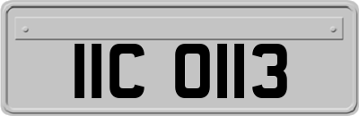 IIC0113