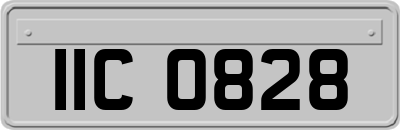 IIC0828