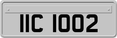 IIC1002