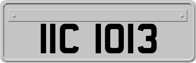 IIC1013